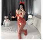 sexy underwear net clothing open file dew free passion transparent sexy temptation stockings - Image 4